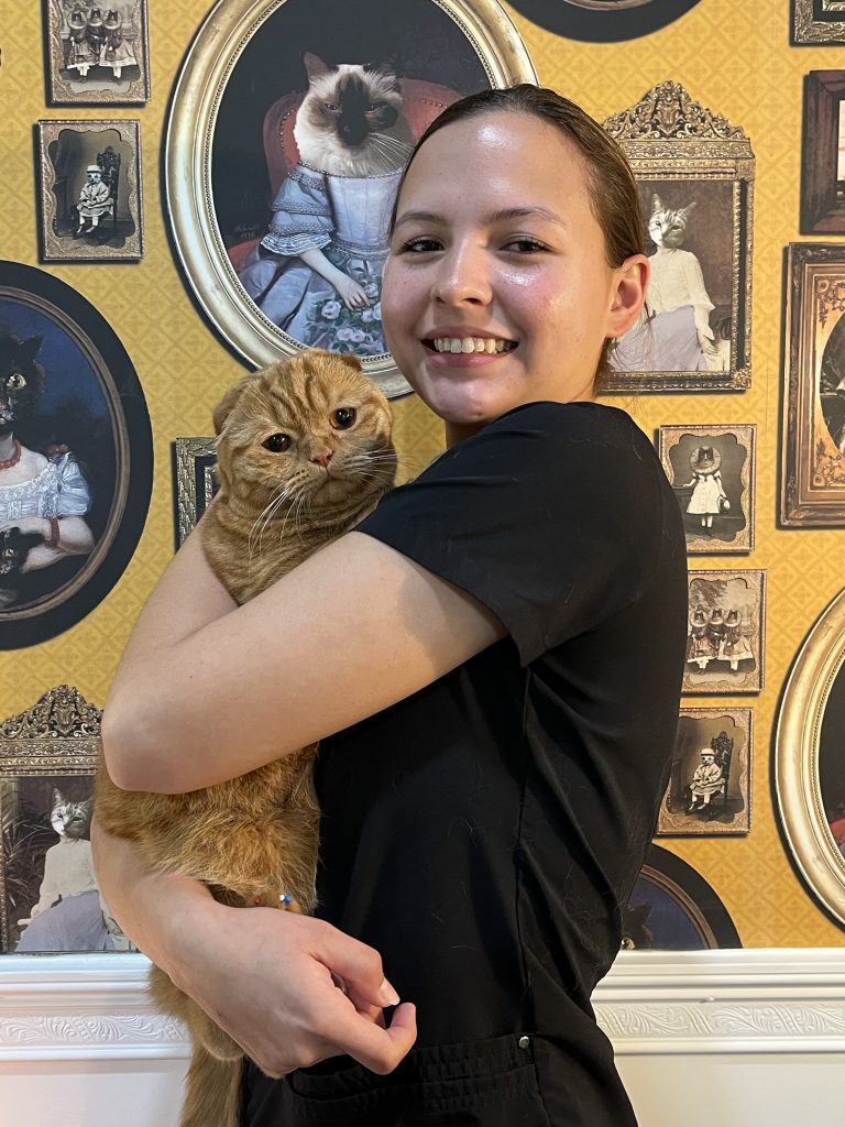 Madison holding Goose, a red tabby Scottish Fold cat